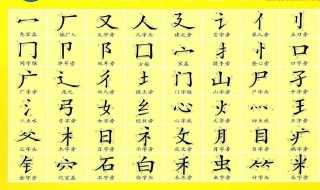 常见偏旁部首分享?偏旁部首大全及名称是什么(偏旁)