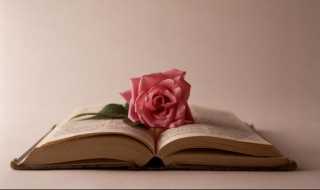 圈怎么读?圈的组词和拼音(圈)