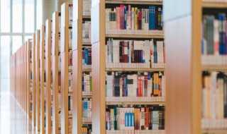 赋字简单介绍_赋的拼音(赋的拼音)