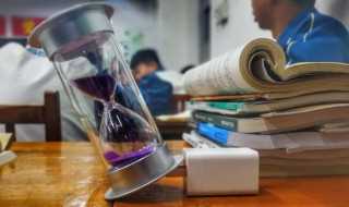 鸨怎么解释?鸨怎么读拼音?(鸨)