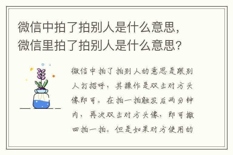 微信里拍了拍别人是什么意思?微信中拍了拍别人是什么意思(微信拍了拍对方)