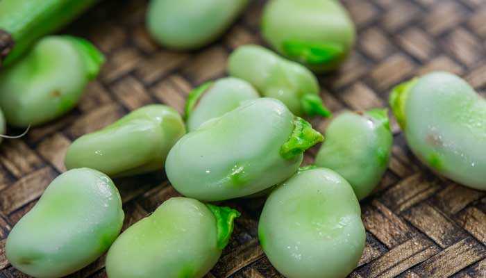 稻粱菽麦黍稷怎么念?稻麦黍菽稷怎么念?(五谷稻麦黍菽稷的读音)