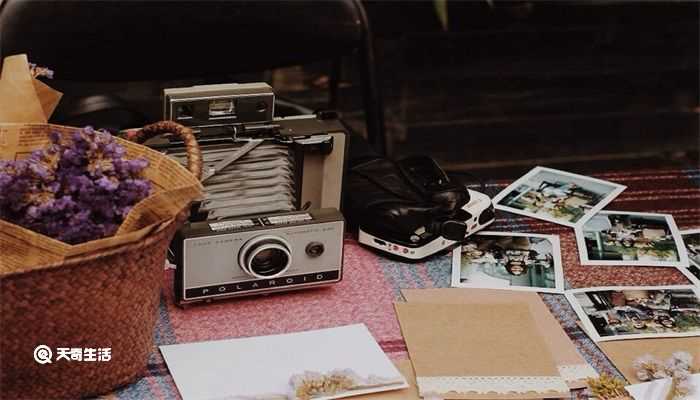 jpg是什么格式?jpg是什么意思(jpg图片)