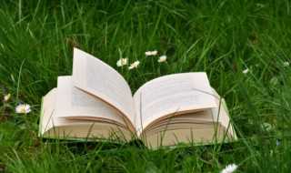 romantic的中文意思?romantic是什么意思中文翻译(romantic)