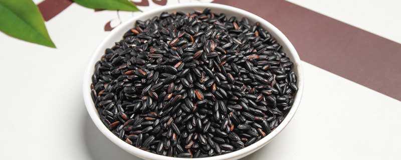 稻粱菽麦黍稷怎么念?稻麦黍菽稷怎么念?(五谷稻麦黍菽稷的读音)