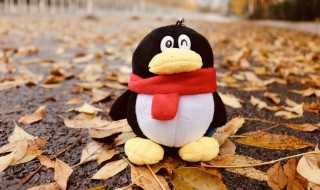 怎么看qq注册时间?怎么看qq注册时间?(qq注册时间)