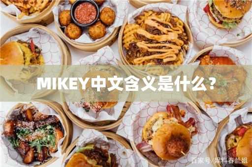 MIKEY中文含义是什么?(mikey的意思是什么)?