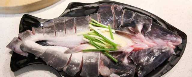 昂组词语有哪些词语(昂组词语和拼音)?