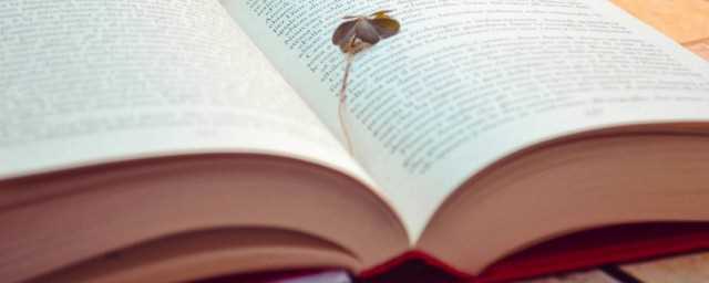 痴线的意思(痴线怎么读)?