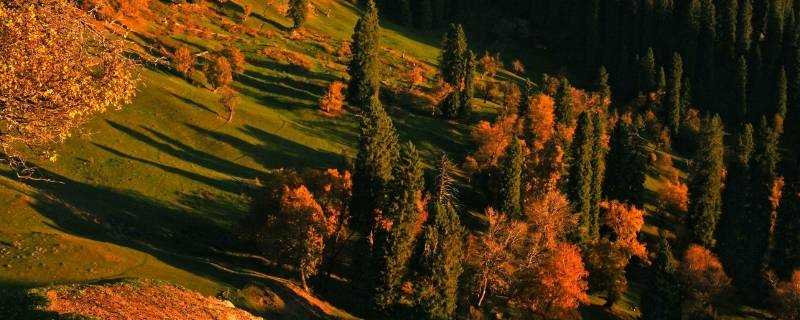 浅秋的含义_浅秋是何寓意