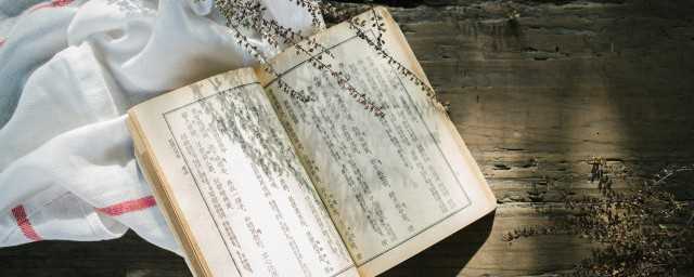 东汉西汉是什么意思(东汉(西汉)?