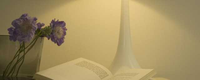 一切乌有的意思是什么(一切都化为乌有是什么意思)?