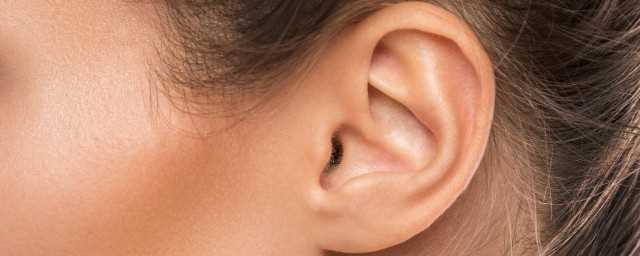 ear耳朵英语怎么读音发音(耳朵英语怎么读)?