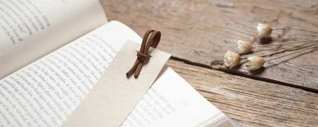 契子是啥意思是什么(楔子怎么读)?