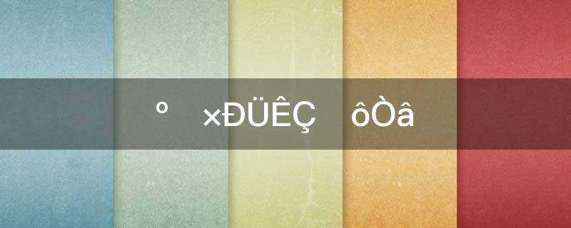 黑白熊是什么意思(黑白的那个熊叫什么)?