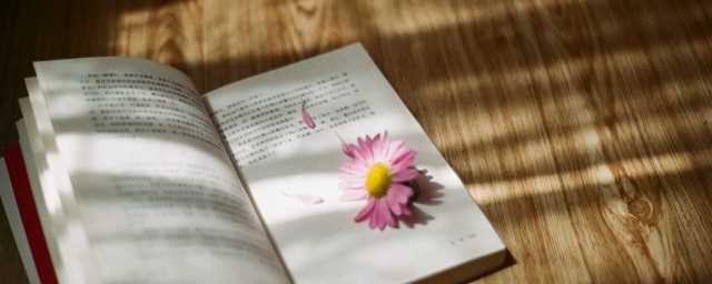 paintl怎么读语音?paint怎么读英语