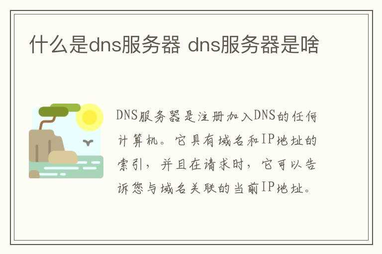 dns服务器是啥?什么是dns服务器(dns服务器)
