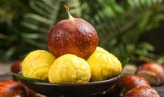 中国最好的板栗产地介绍?中国最好的板栗产地在哪里?(中国板栗之乡)