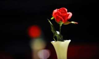 国际妇女节是怎么来的?国际妇女节的由来(三八妇女节的来历)