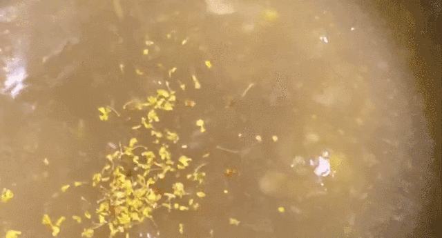 与桂花香撞个满怀！_杭州的秋天(西湖体育馆)