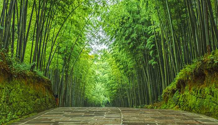 蜀南竹海的位置?蜀南竹海在哪里?(蜀南竹海在哪里)