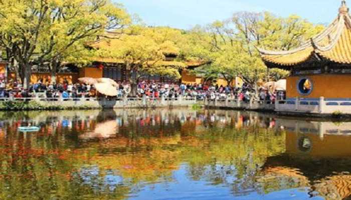 普陀山在哪里?普陀山在哪个省?(普陀山在哪个省)