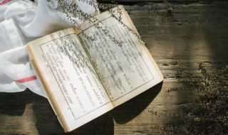 宋江人物简介（宋江人物简介100字）(宋江)