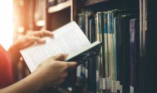 罗马是意大利的首都吗?(罗马是意大利的首都.这个城市很特别)(意大利首都罗马)