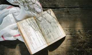 car释义?car是什么意思(car)