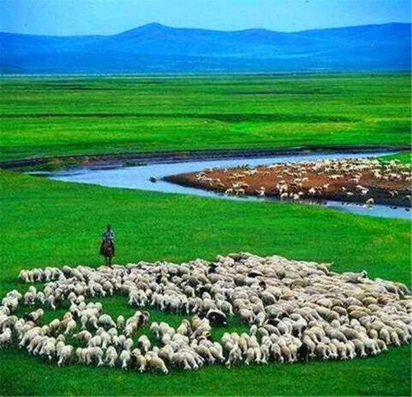 最美的33个“中国之最”(中国之最图片)