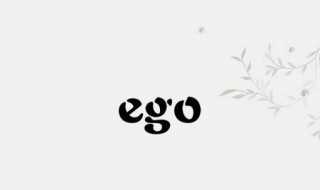 ego是什么意思中文 怎么理解EGO