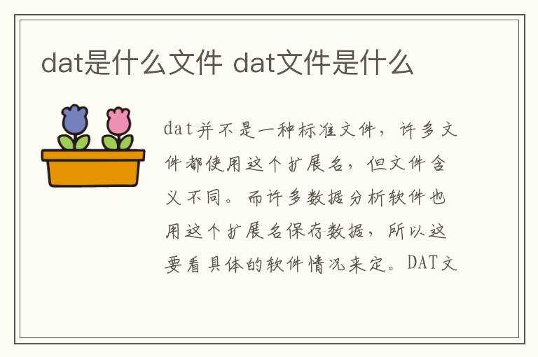 dat文件是什么?dat是什么文件(dat文件)