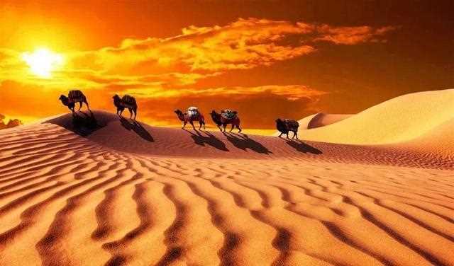 最美的33个“中国之最”(中国之最图片)