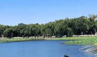 定州一日游必去的景点?定州一日游必去景点有哪些?(定州旅游)