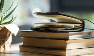 英语fun是啥意思?fun是什么意思(fun)