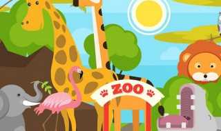 北京八达岭野生动物世界旅游注意事项?北京八达岭野生动物世界旅游攻略是什么(八达岭野生动物园攻略)