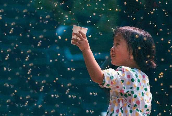与桂花香撞个满怀！_杭州的秋天(西湖体育馆)