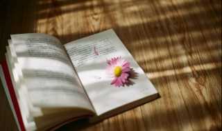 郄的读音及解释?郄怎么读?(郄)