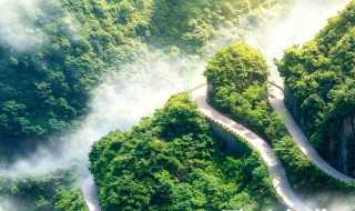 张家界简介_张家界简介(张家界旅游简介)