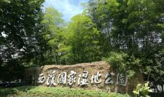 西溪湿地公园介绍_西溪湿地公园简介(西溪湿地简介)