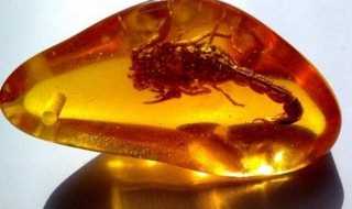 琥珀的介绍_琥珀的基本介绍(琥珀)