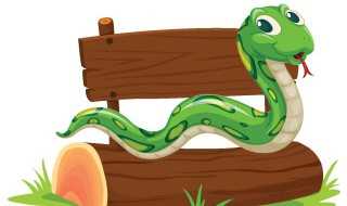 过山峰是保护动物吗?（山麂是保护动物吗?）(过山峰)