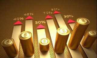 净利润率是什么?净利率计算公式(净利润率)