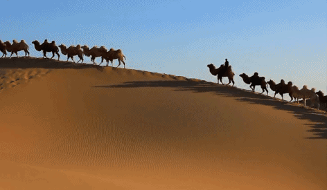 最美的33个“中国之最”(中国之最图片)