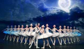 天鹅湖作者简介_天鹅湖故事简介(天鹅湖的故事)