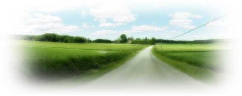 ps羽化在哪里?(ps羽化在哪)