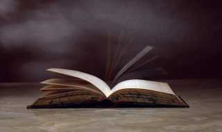 嗜怎么组词?嗜组词(嗜组词)