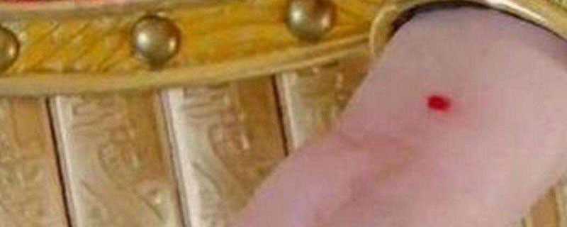 守宫砂是什么原理是什么?守宫砂是什么(守宫砂是什么)