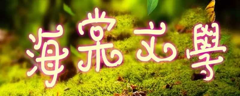 shoto是什么(shoto是什么时候出道的) shoto是什么(shoto是什么时候出道的)?(SHOTO)