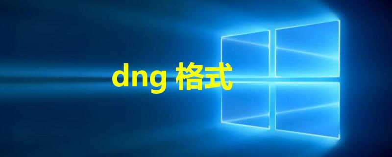 dng格式(dng)